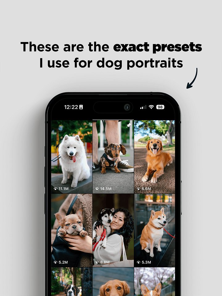 Pawtrait Presets product image (2)