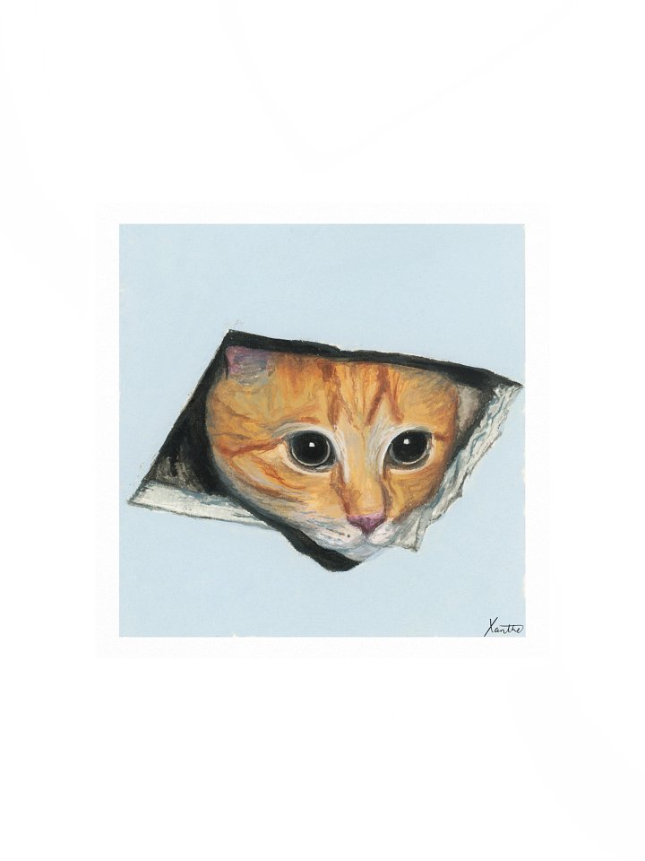 ceiling cat print product image (1)