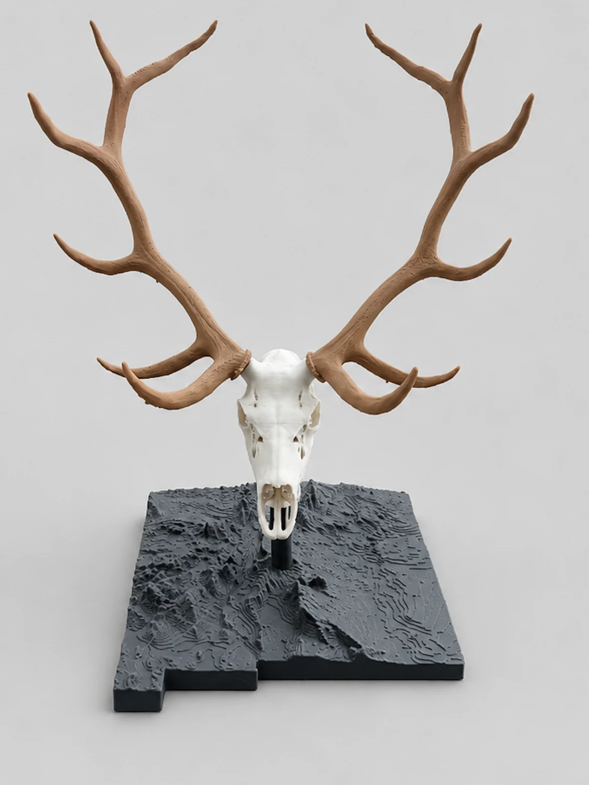 Bull Elk Euro Mount product image (1)