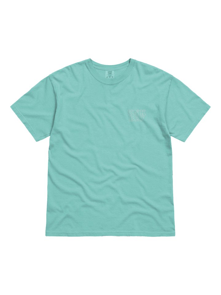 Living the Dream - Heavyweight T-Shirt product image (2)