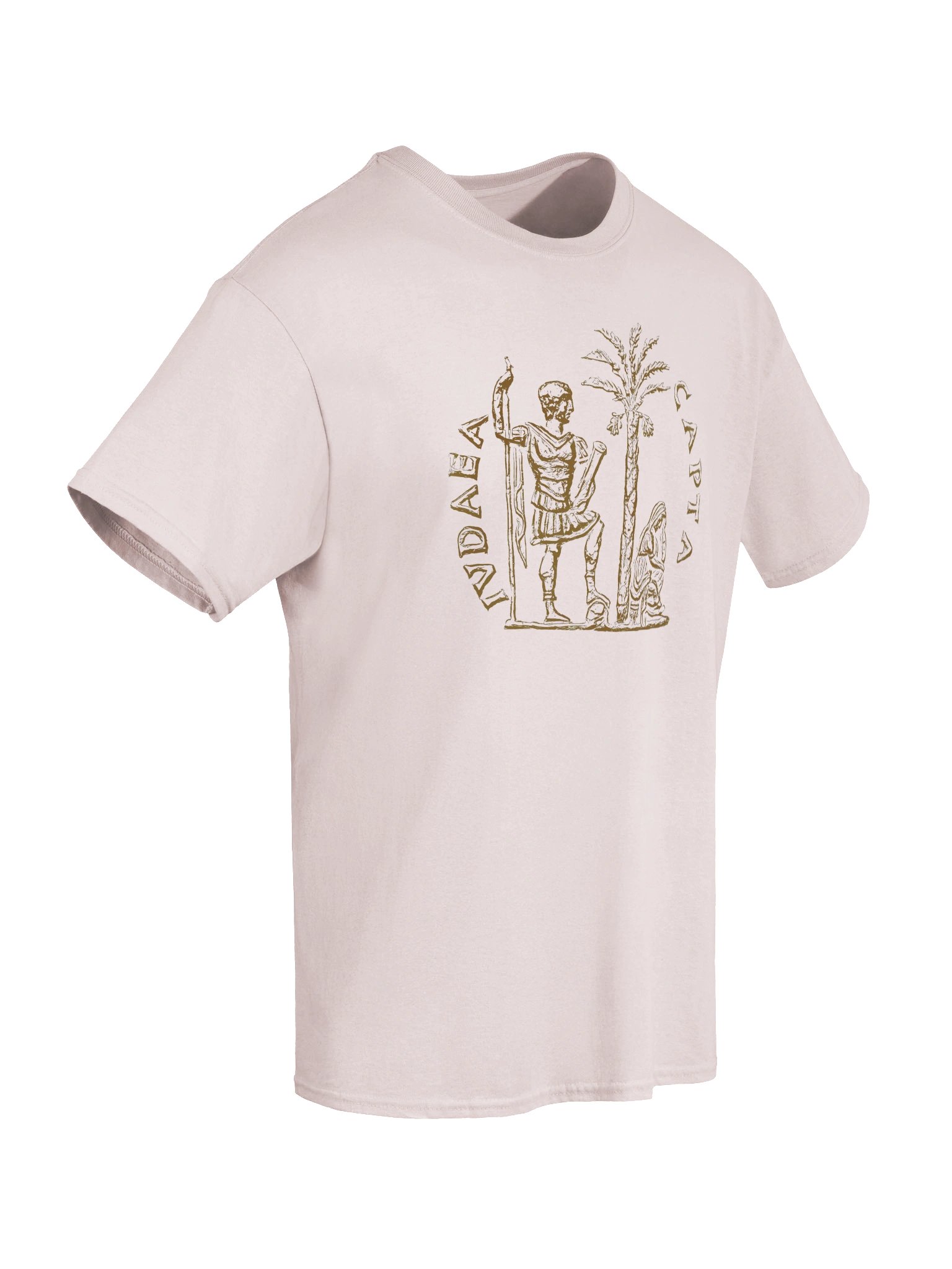 Roman IVDAEA CAPTA Judea Authentic Art T-Shirt product image (13)