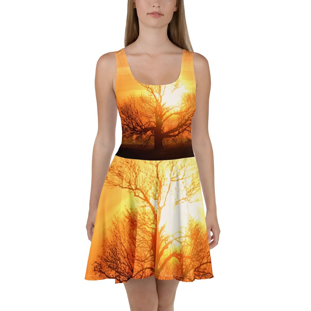 'Moods III' Skater Dress product image (2)