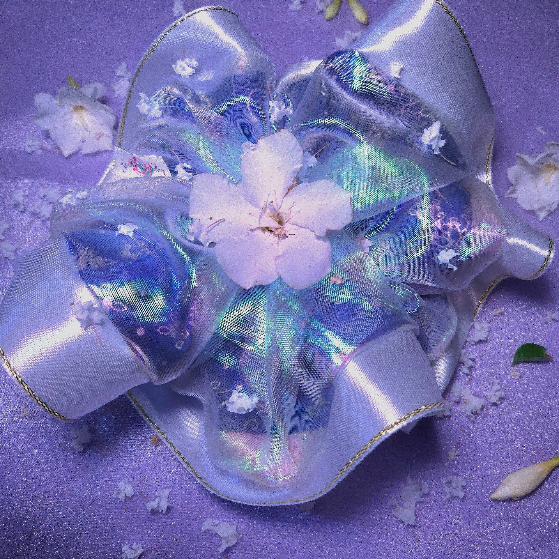 Ice Princess product image (3)