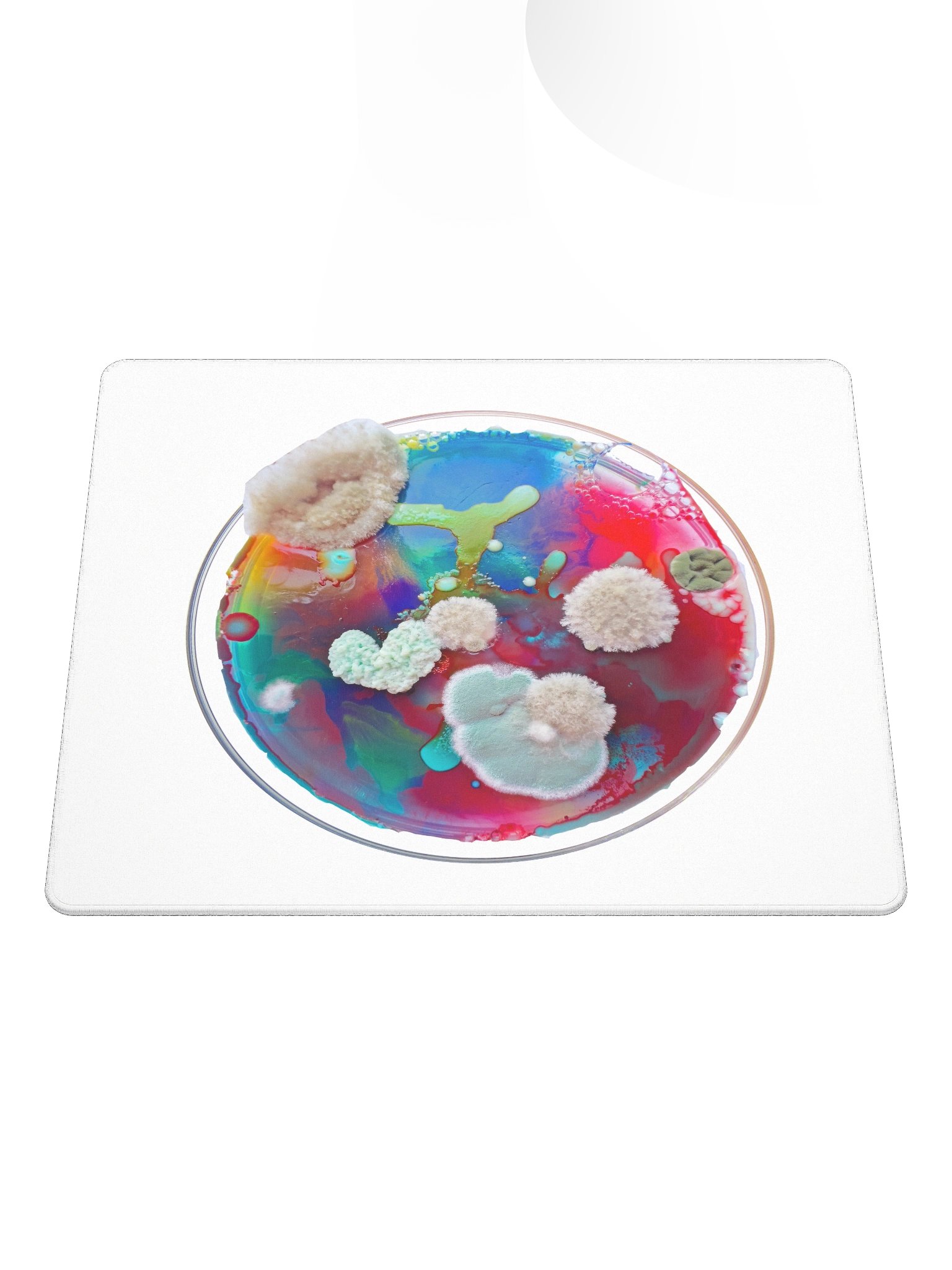 Gaming dish product image (1)