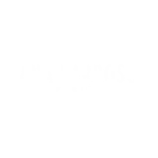 Ana Barroso Porto