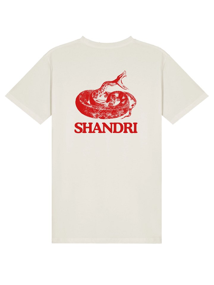 Rock and Roll Snake T-Shirt product image (2)