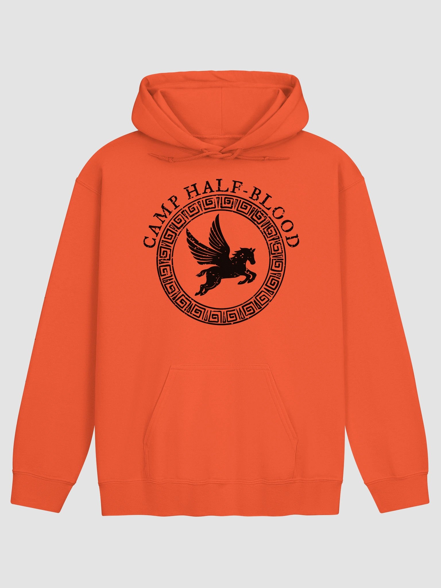 Camp Half Blood Pullover Hoodie product image (37)