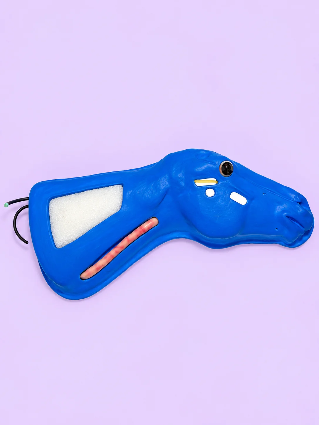 All-In-One Equine Procedures Simulator (Hyperrealistic) product image (5)