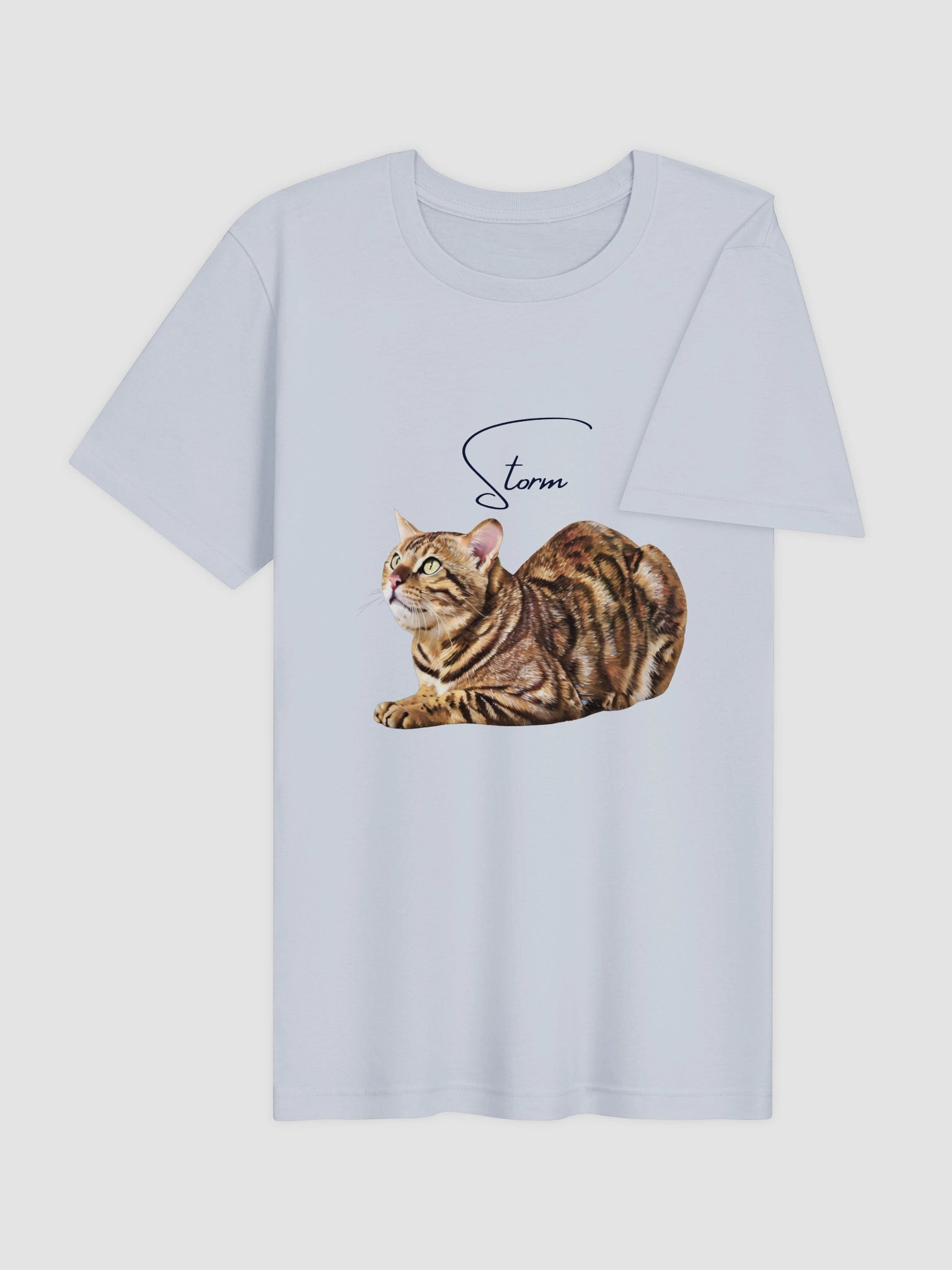 Custom Oil Painting Style Pet Portrait T-Shirt product image (22)