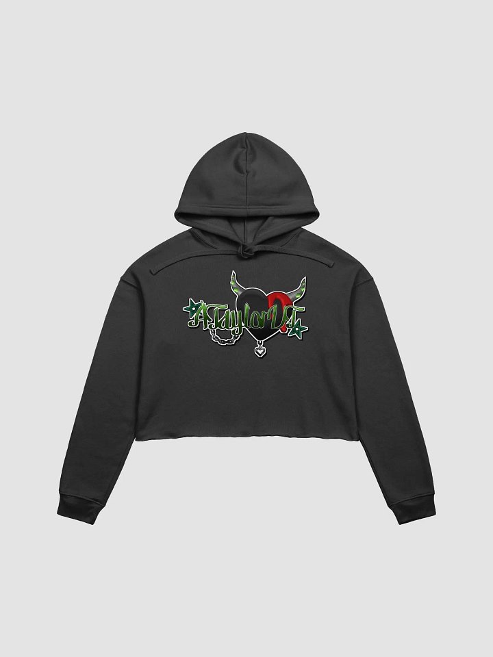 ATaylorVT Logo Cropped Hoodie product image (2)