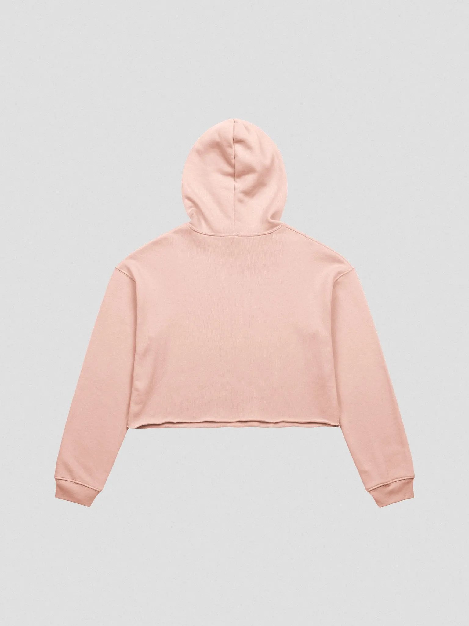 Trying Times fleece crop hoodie product image (3)