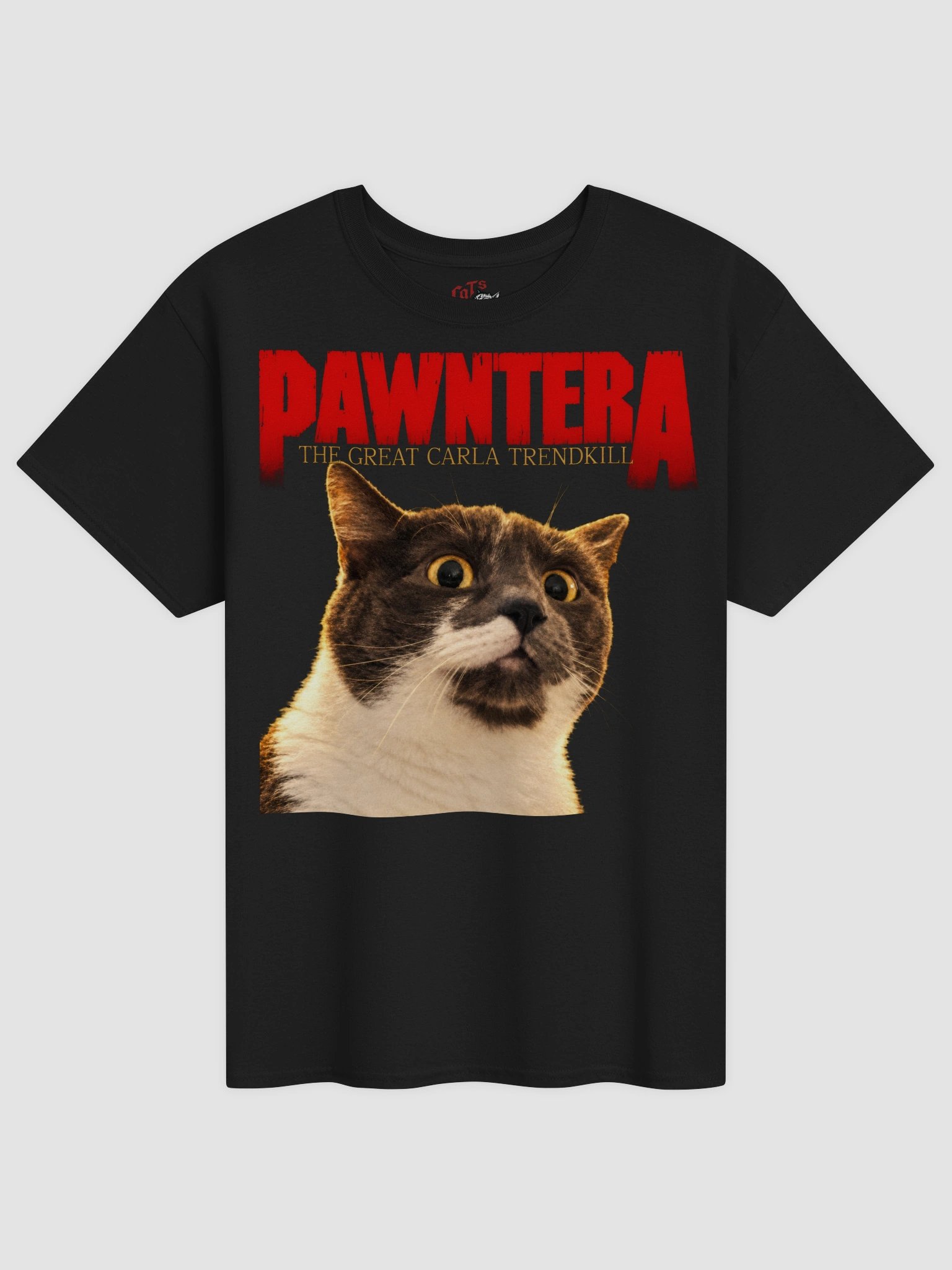 Carla Pawntera Tee product image (7)