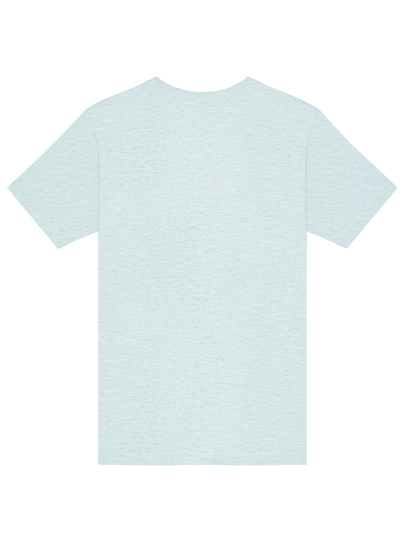 Sunset Sessions Pelican T-Shirt product image (10)