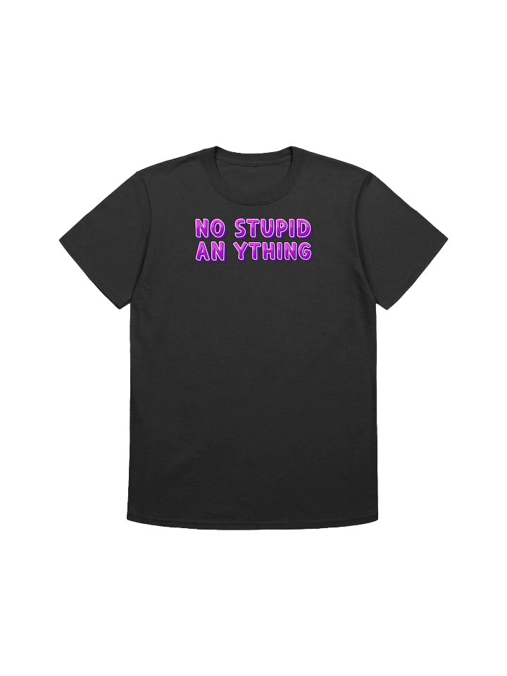 NO STUPID AN YTHING T-Shirt product image (1)