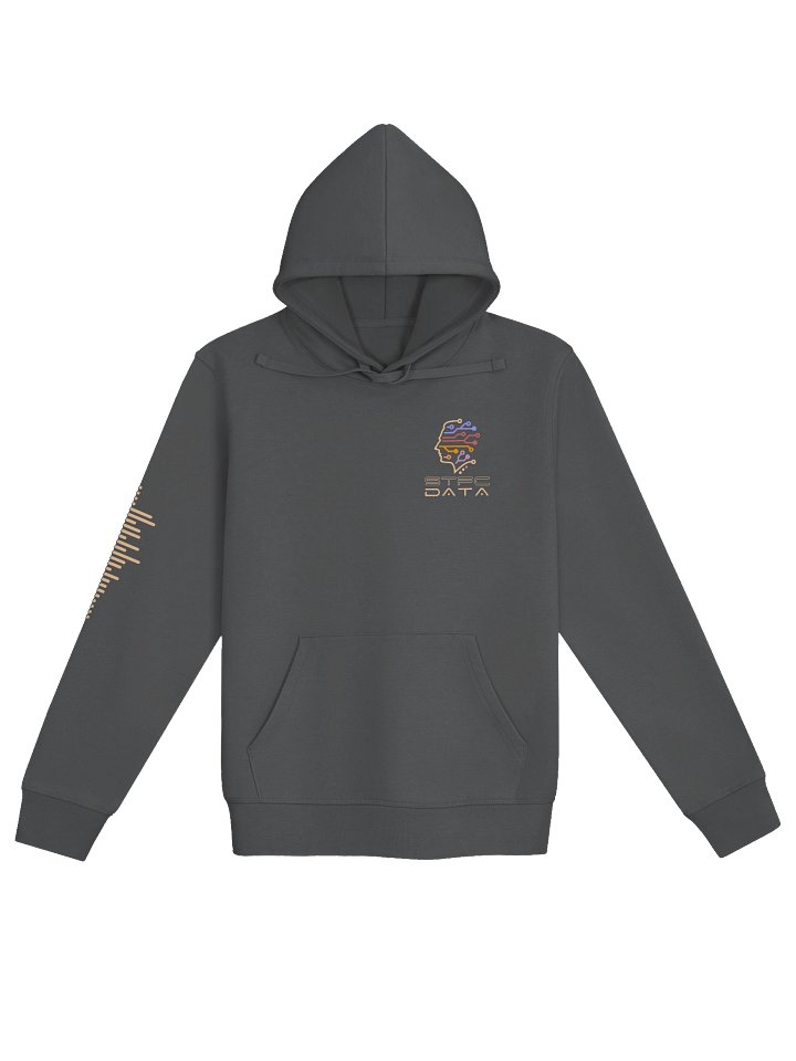 Hoodie | STFC Data Chip & Soundwave product image (1)