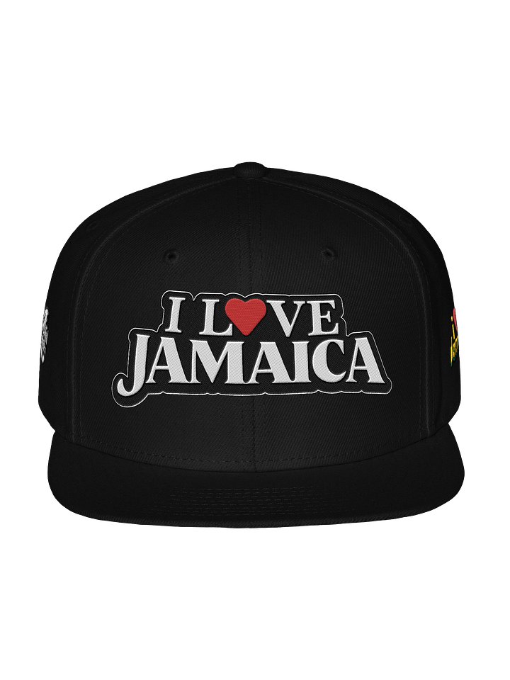 Snapback product image (1)