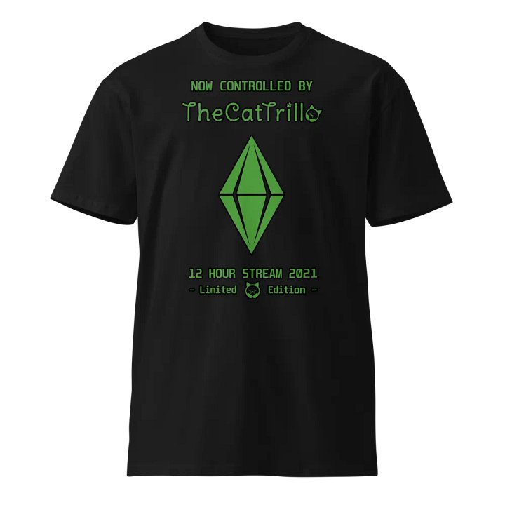 4 years on Twitch, shirt! product image (1)