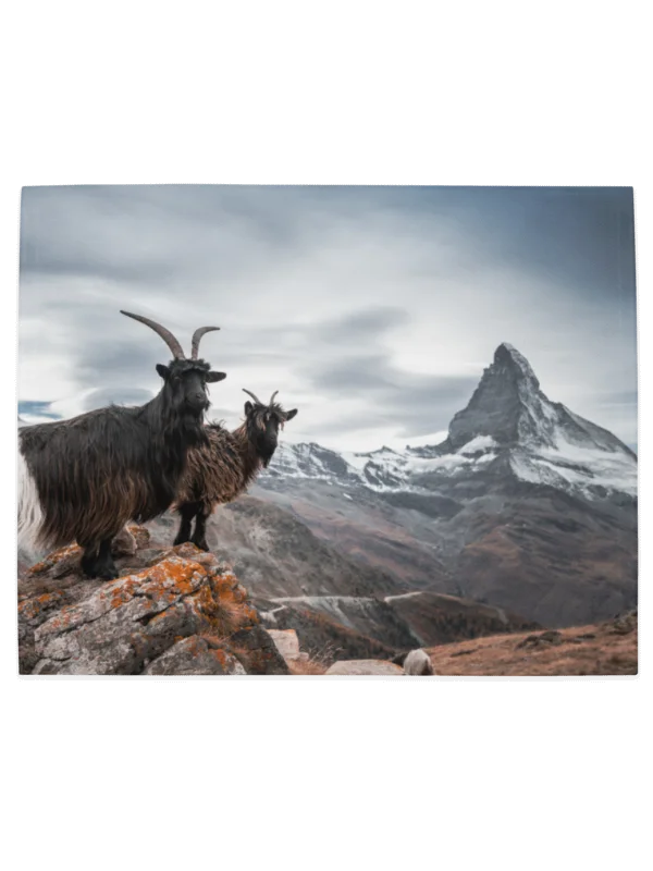 Valais Blacknose sheep and Valais Blackneck goats Table mats product image (6)