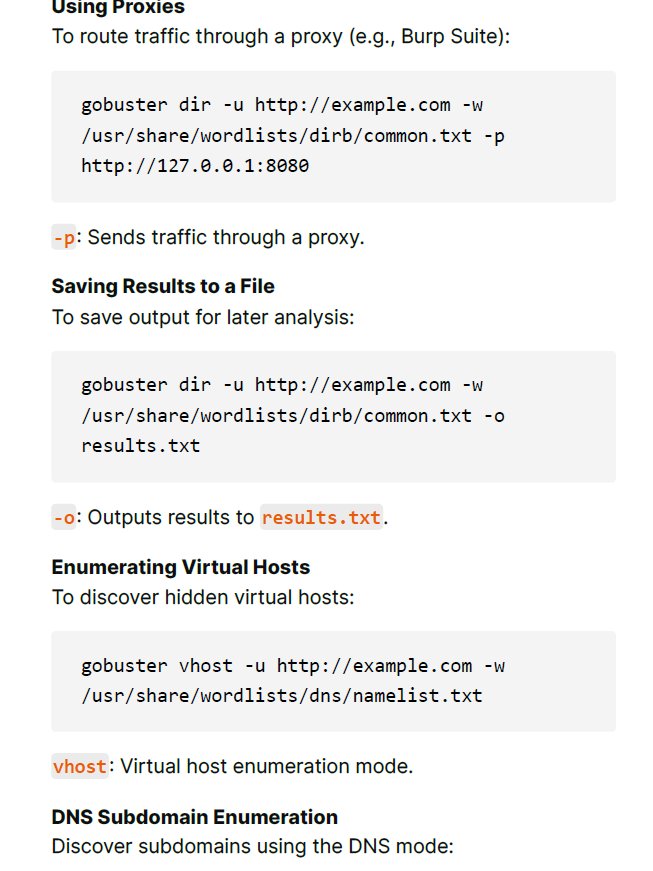 Web Hacking & Pentesting Study Notes product image (4)