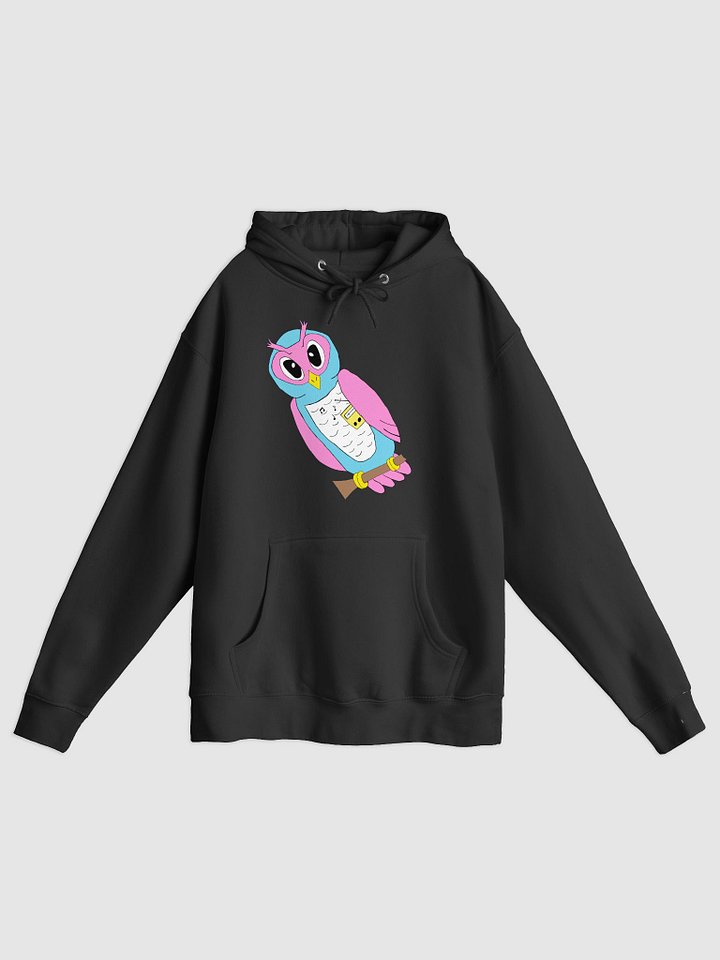 Reclaim the Owl Chill hoodie product image (2)