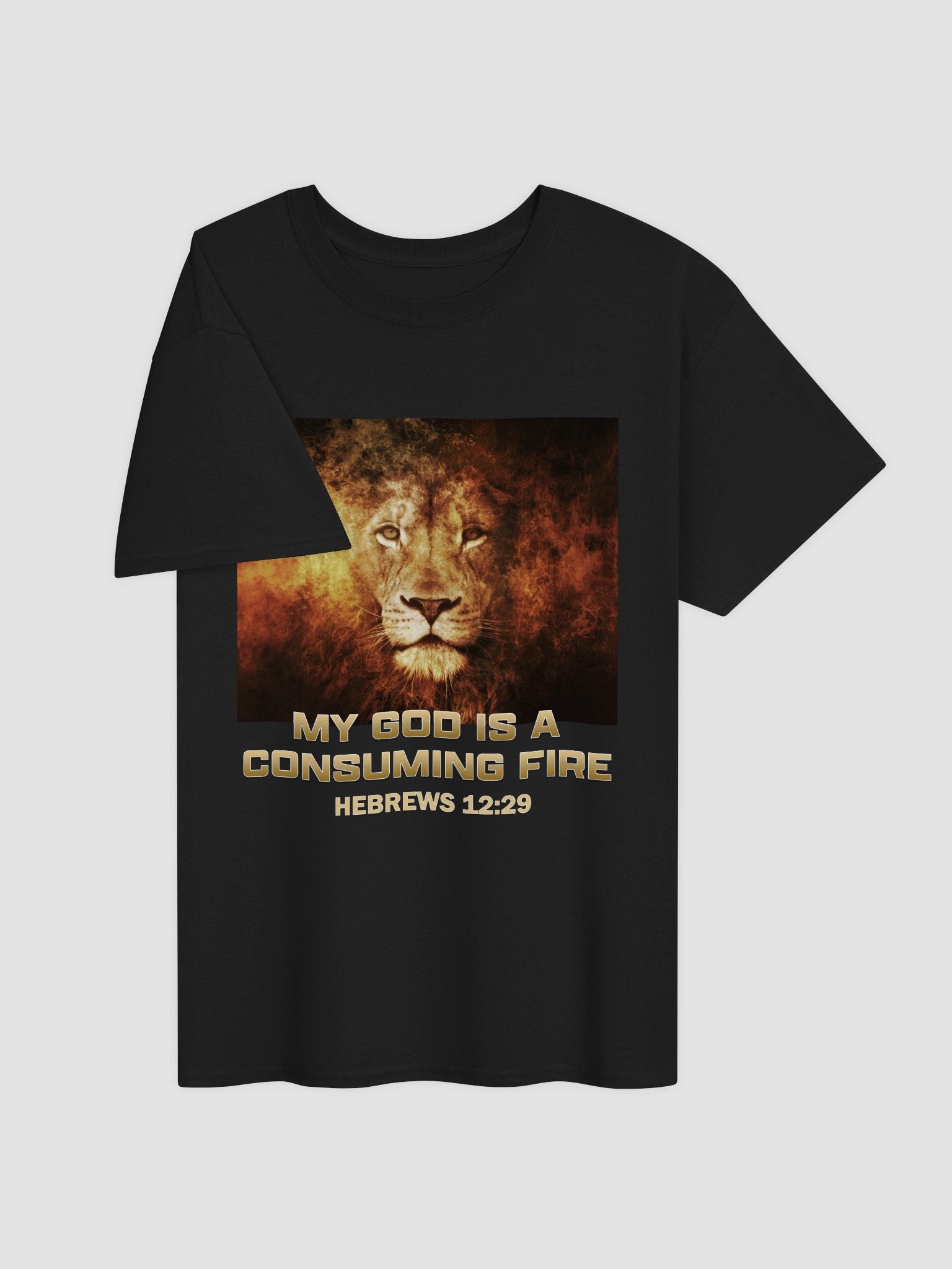 My God Is A Consuming Fire T-Shirt product image (2)