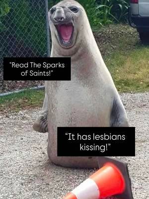 Did someone say sapphic?🩶🗡️🪽 #thesparksofsaints #sapphicauthor #wlw #sapphicromance #indieauthorsoftiktok 