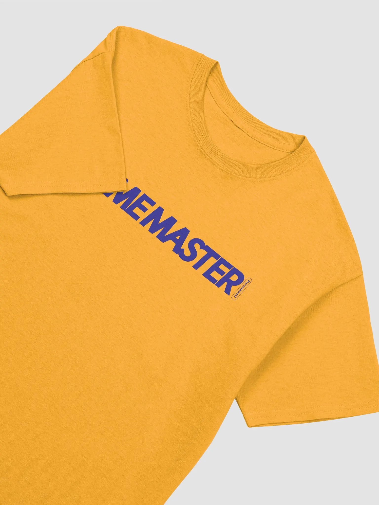Game Master Heavyweight T-Shirt product image (3)