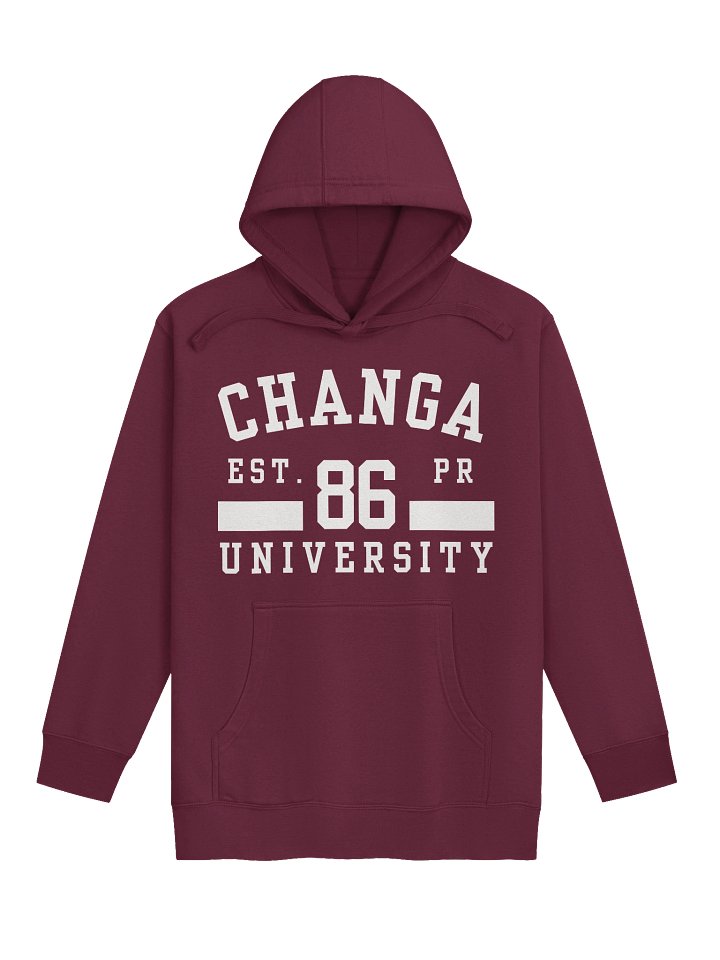 Changa Hoodie product image (1)