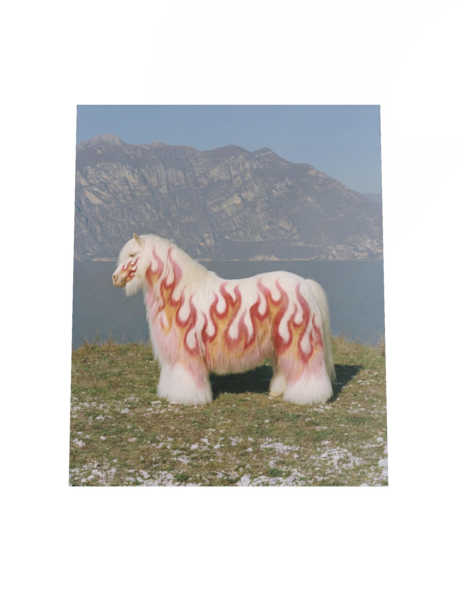 2026 Fire Horse 003 Matte Paper Poster product image (4)