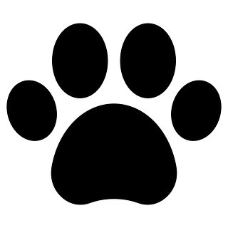 Kitty Merch