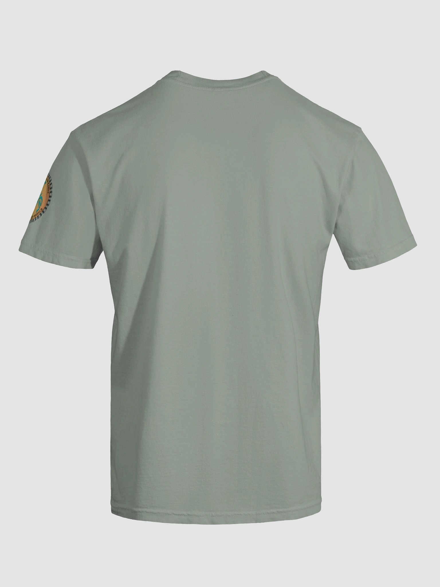 I Really Hate Insomnia (Both) Comfort Colors Garment-Dyed Heavyweight T-Shirt Colors (4) product image (102)