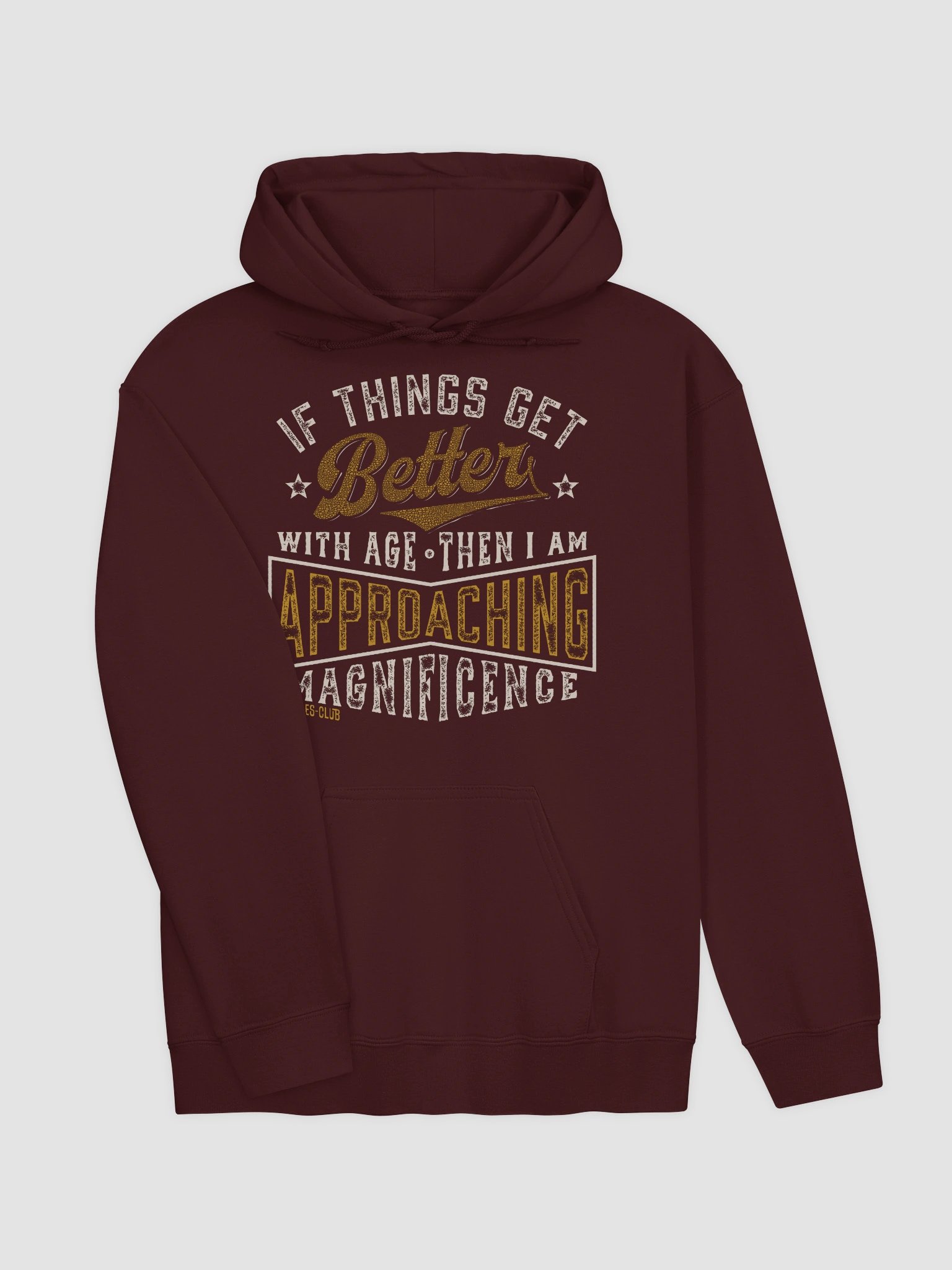 Approaching Magnificence Hoodie product image (4)