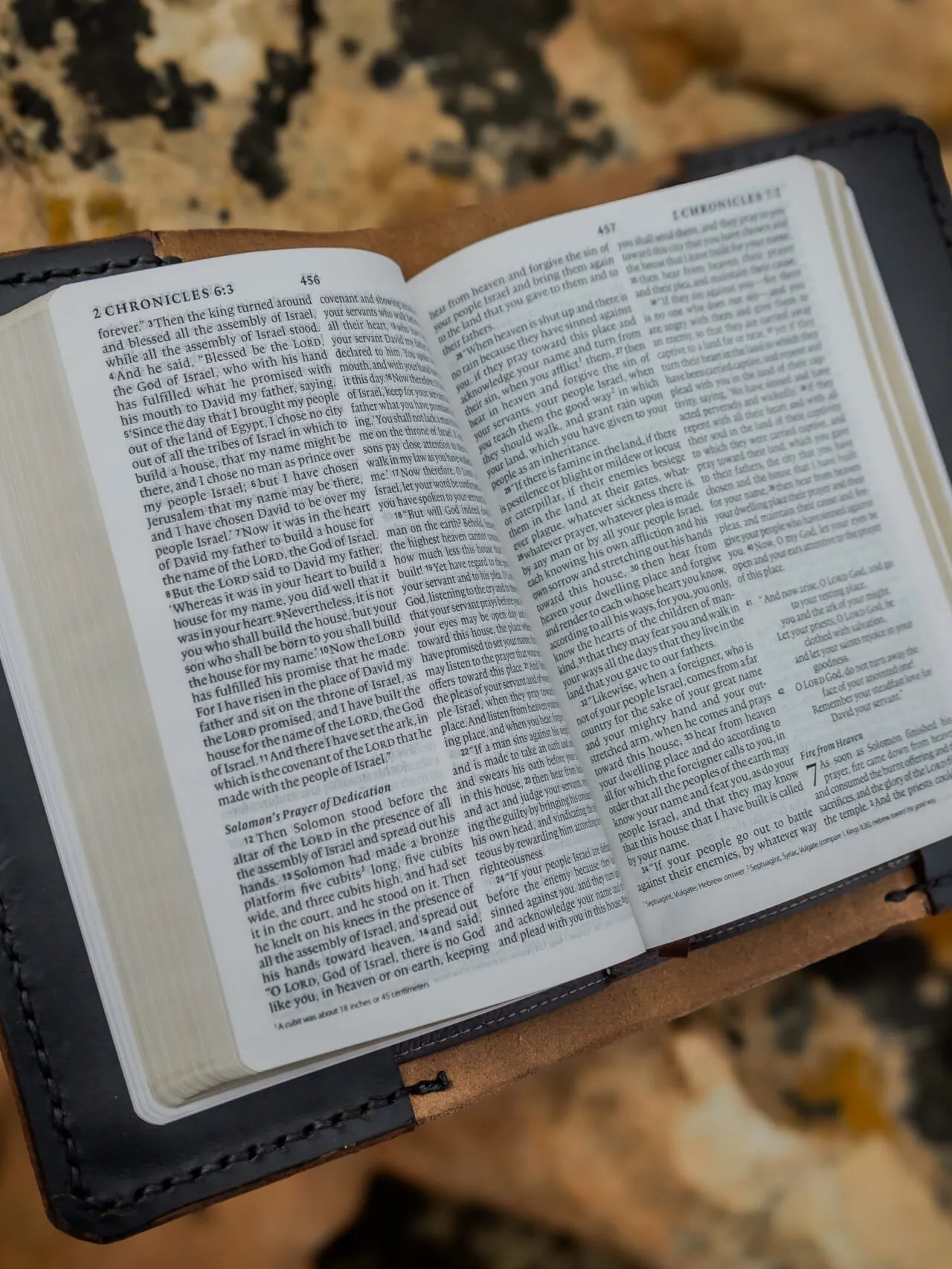 Rugged Brown Bible product image (3)