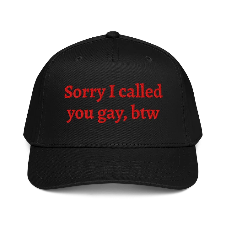 sorry i called you gay btw hat product image (1)