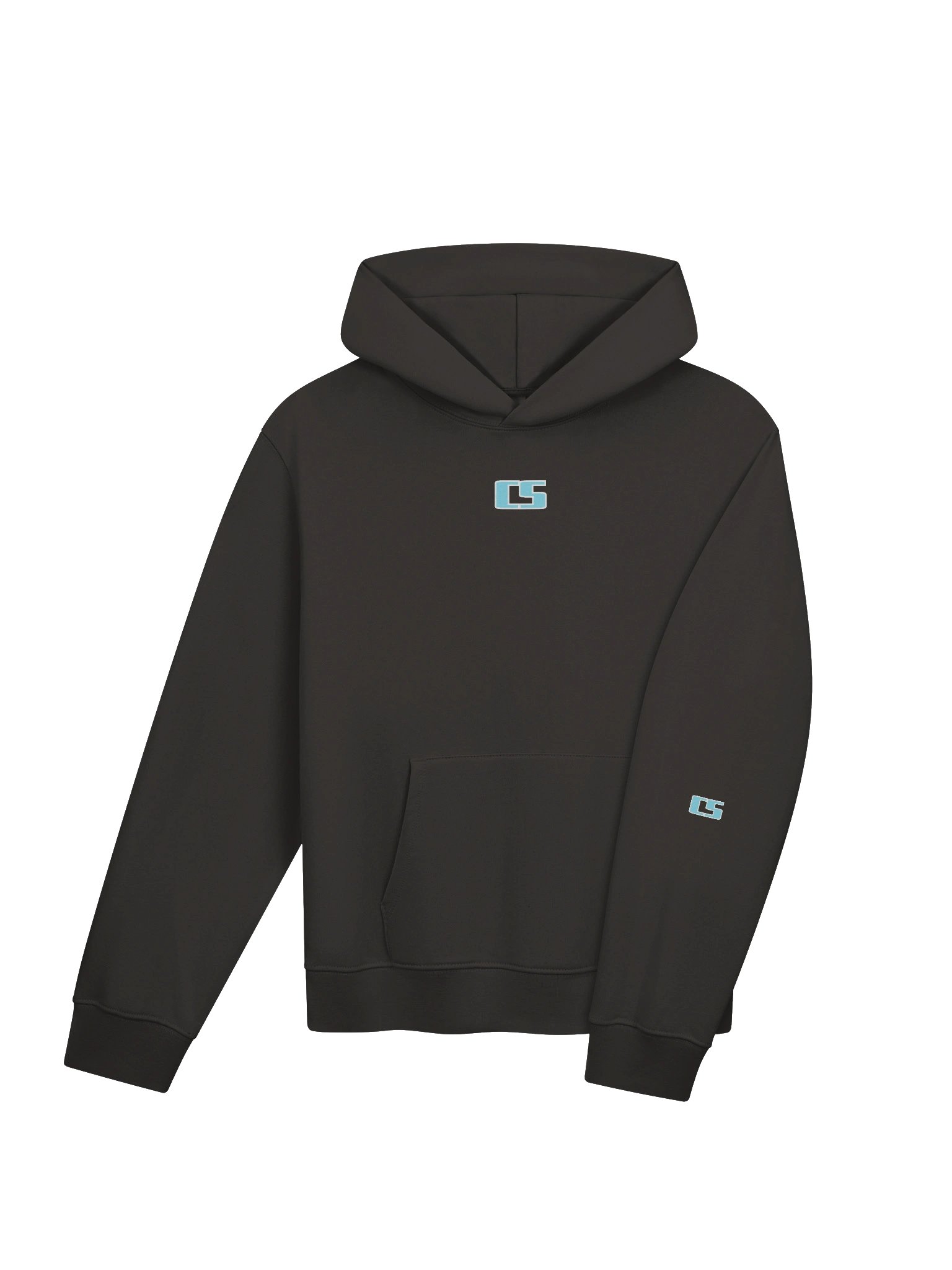 CS Oversized Hoodie product image (4)