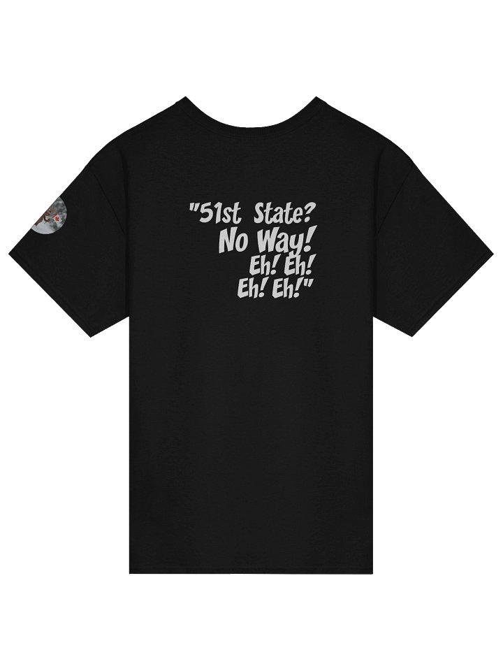 51st State? | Essential Character Ensemble Tee (Black) product image (2)