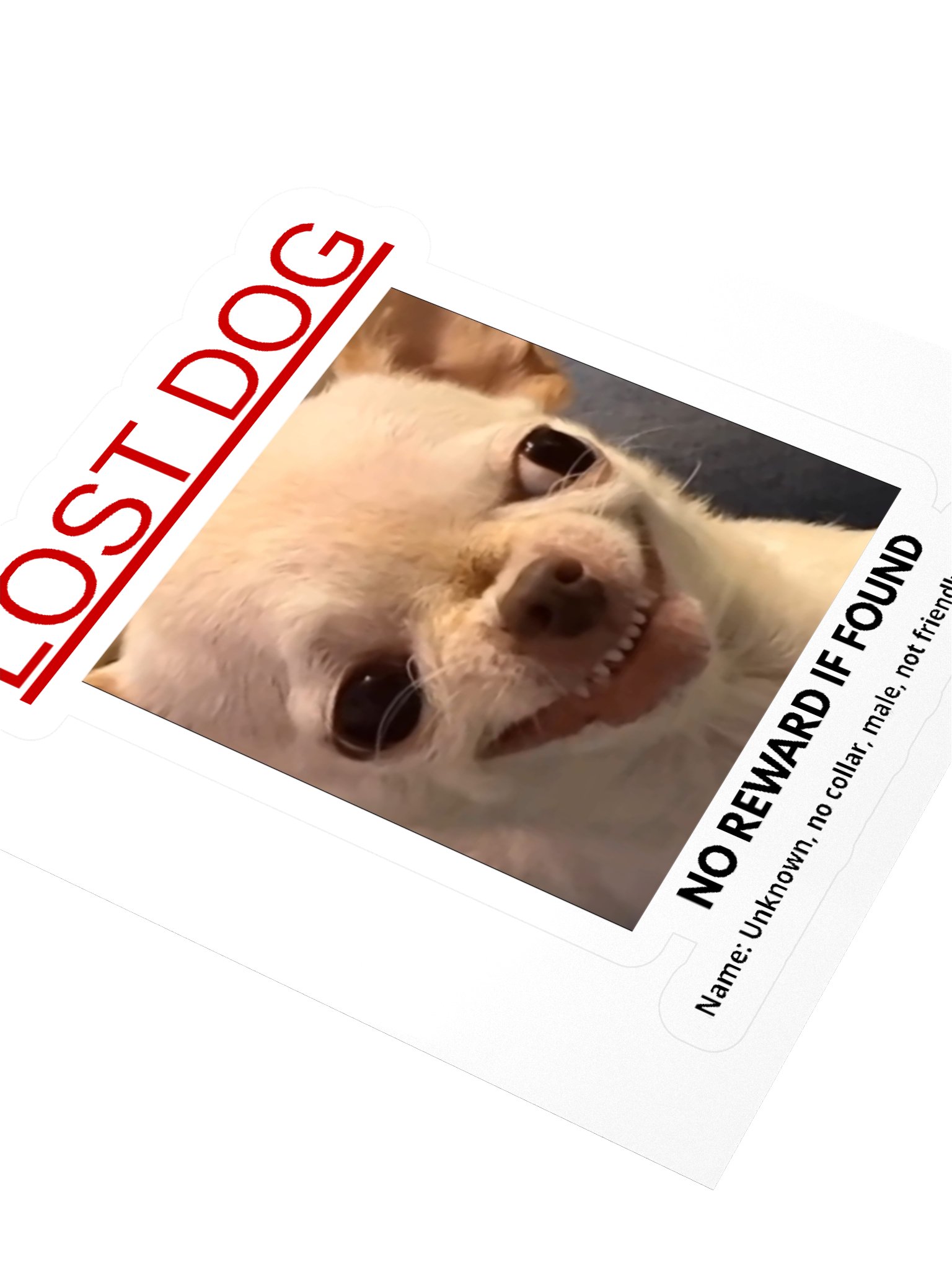 Lost Dog Sticker product image (3)