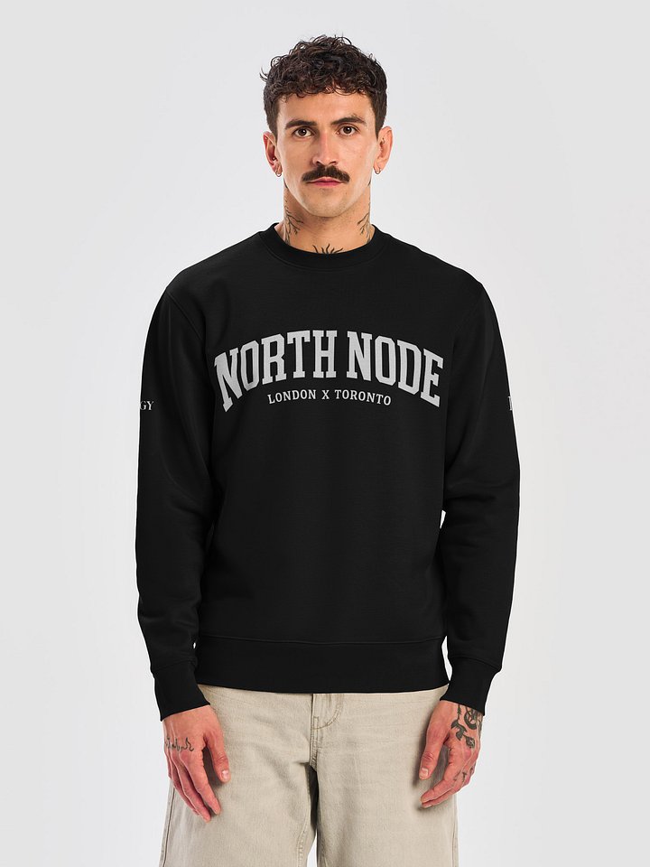 Ology North Node Crewneck product image (2)