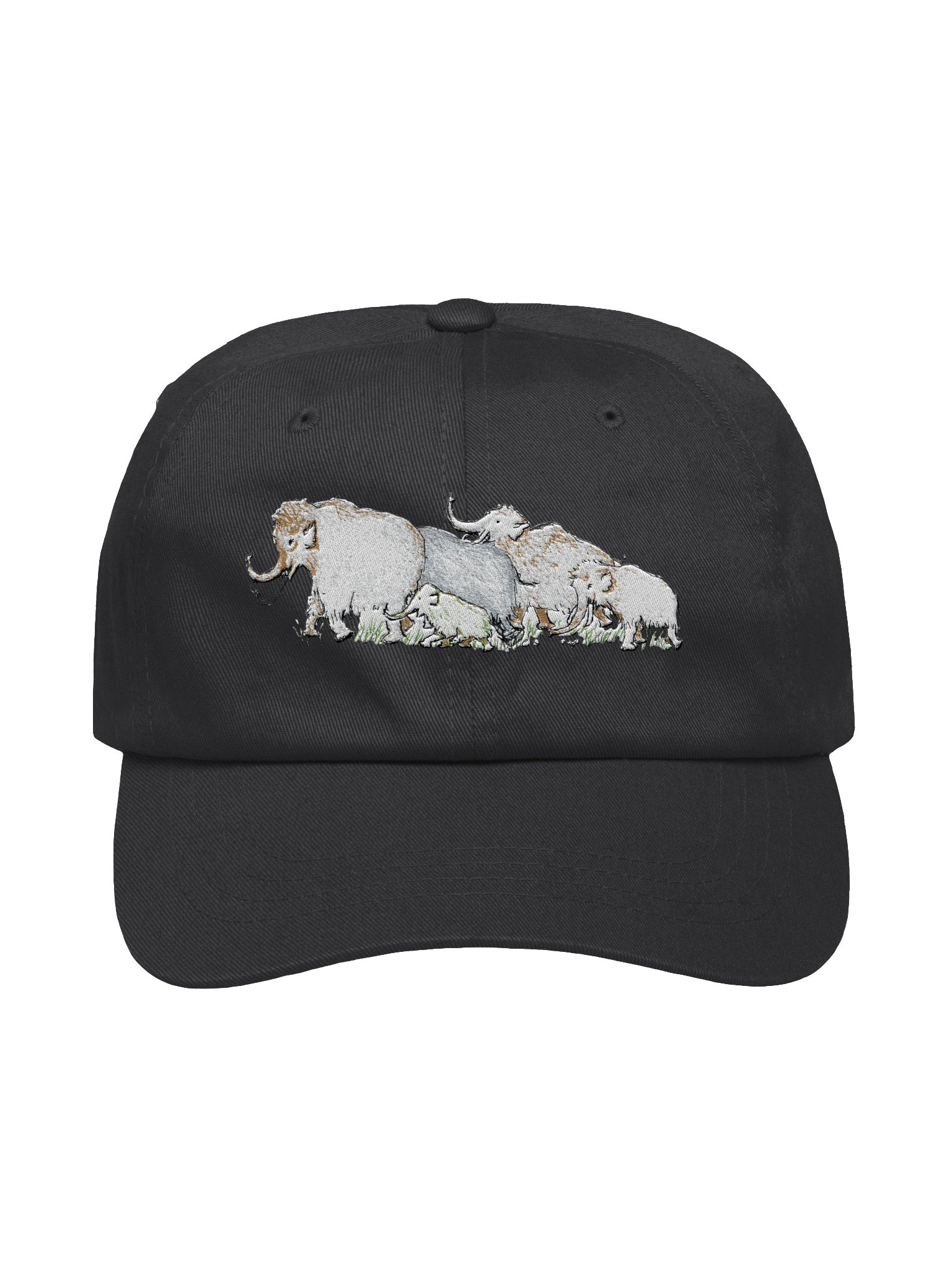 Mammoth Amok Cap product image (1)