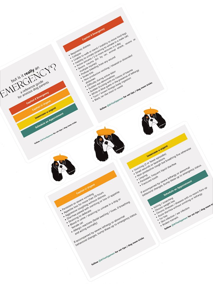 Emergency Reference Guide Sticker Sheet product image (1)