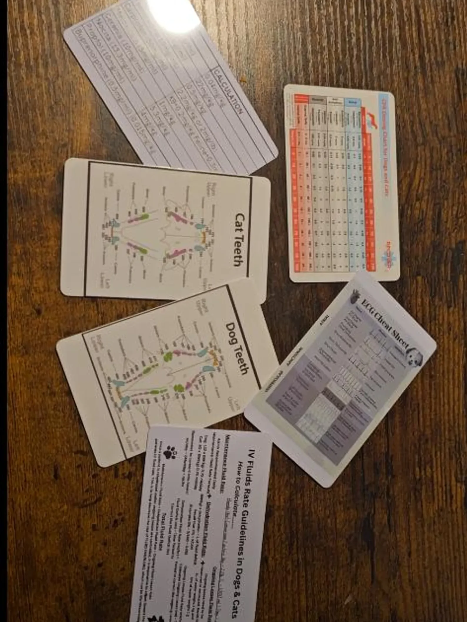 Vet/Vet Tech/Vet Nurse Badge Cheat Sheets product image (10)