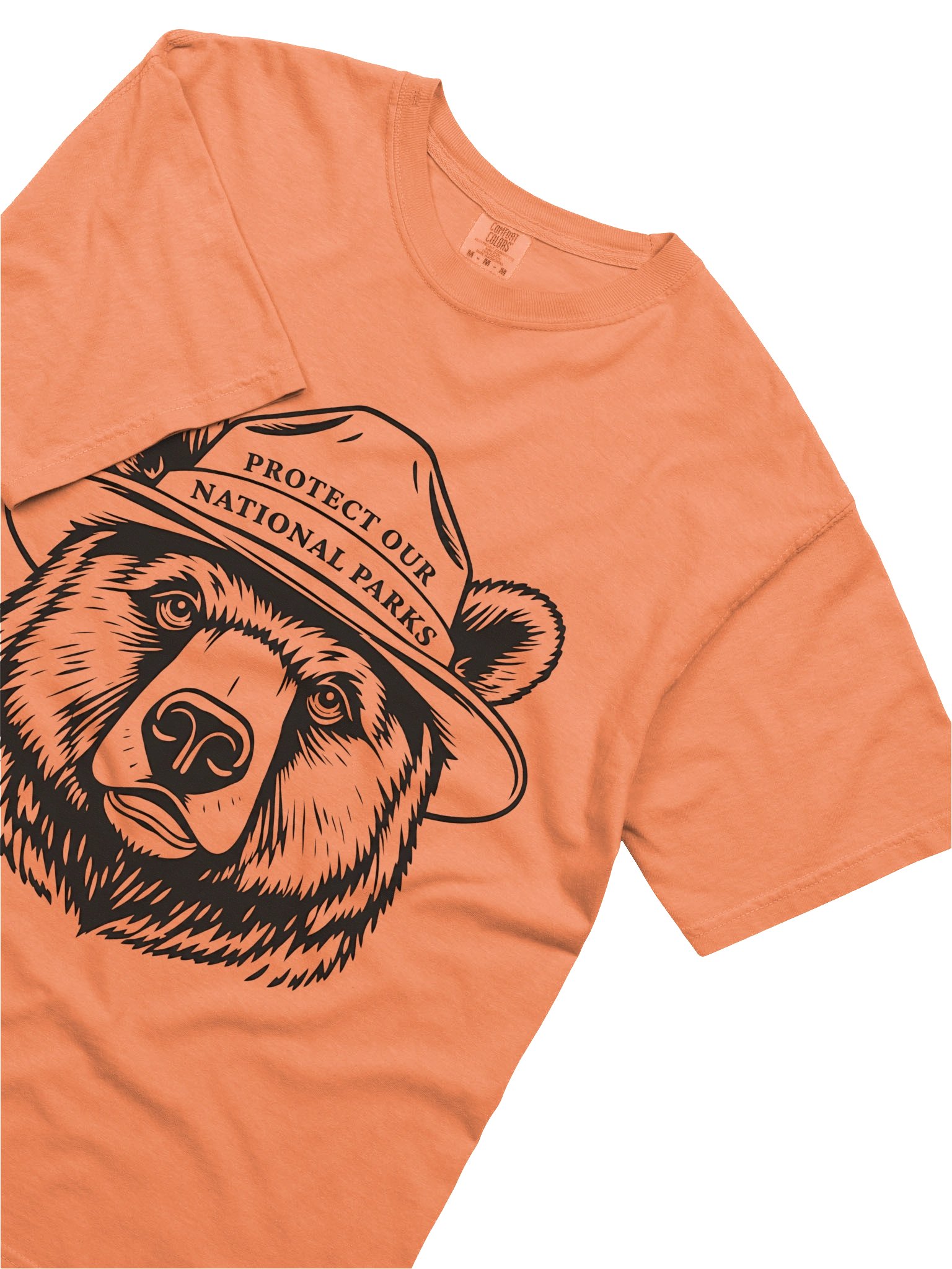 Protect Our National Parks Bear Shirt – Ranger Hat Bear Tee product image (3)