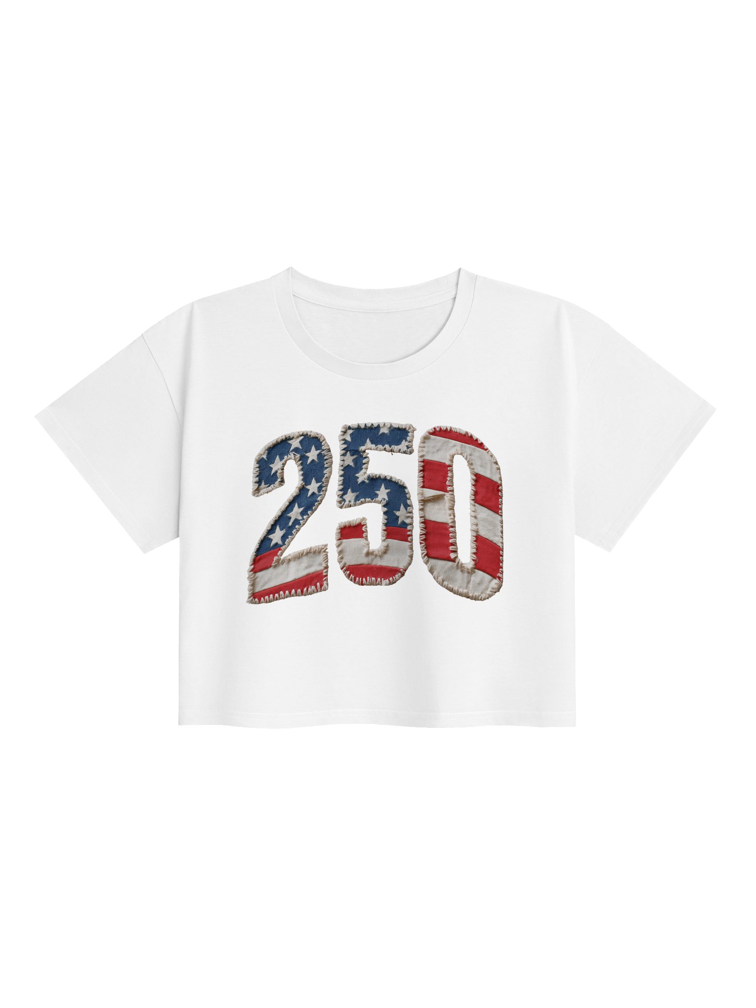 250 Flag-Patch Crop Top — AS Colour x WISCO THREAD CO product image (1)