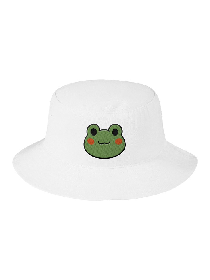 Frog Embroidered - Hat product image (2)