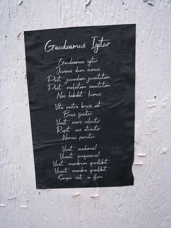 Gaudeamus Igitur Poster product image (2)