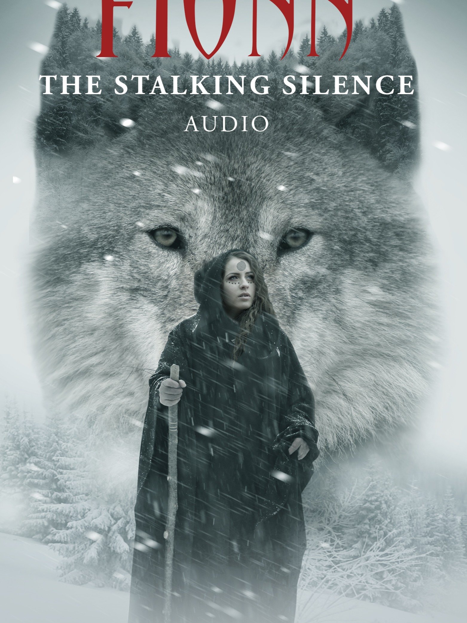 FIONN: The Stalking Silence (Audio) product image (1)