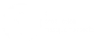 www.sjmusiquemondiale.com