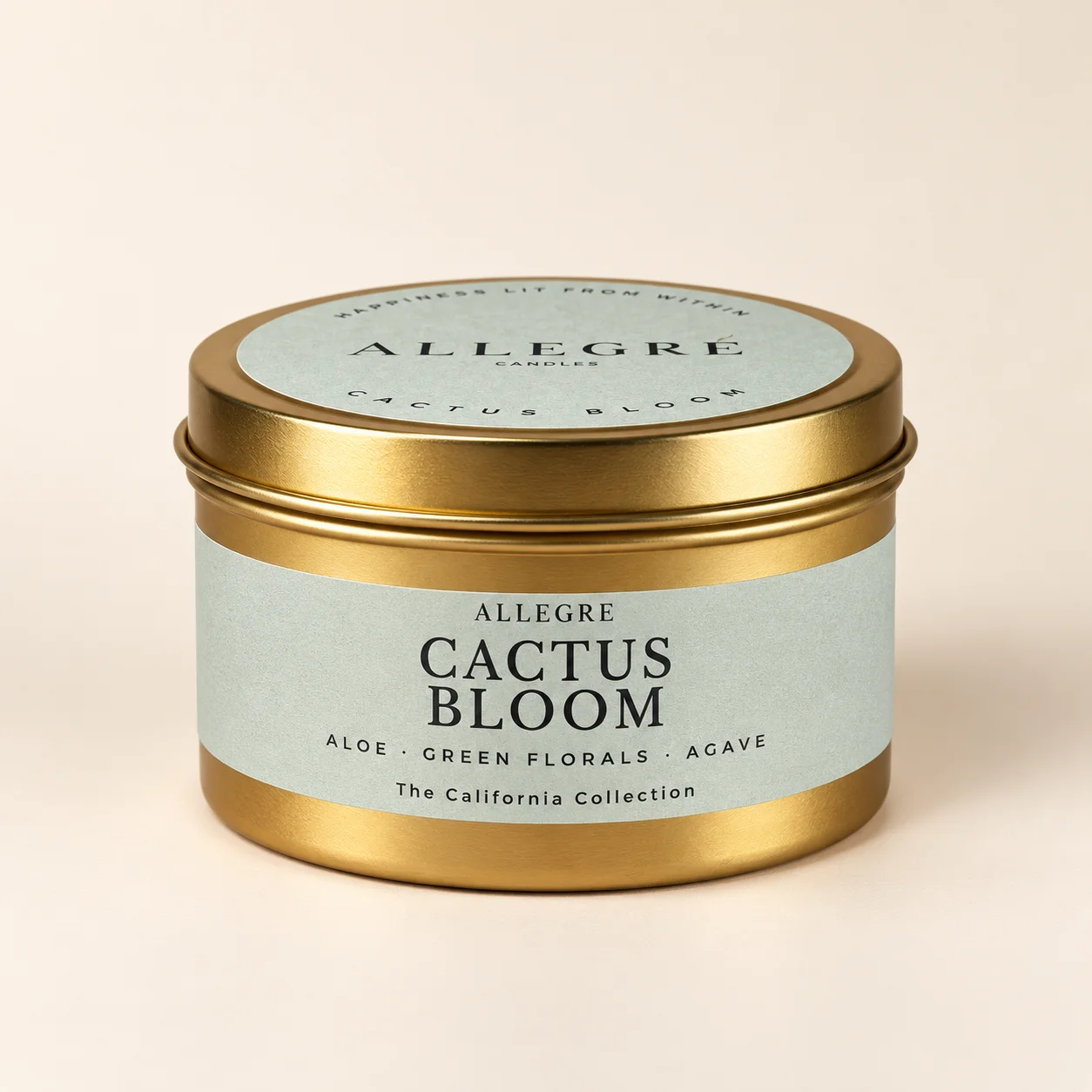Cactus Bloom product image (5)