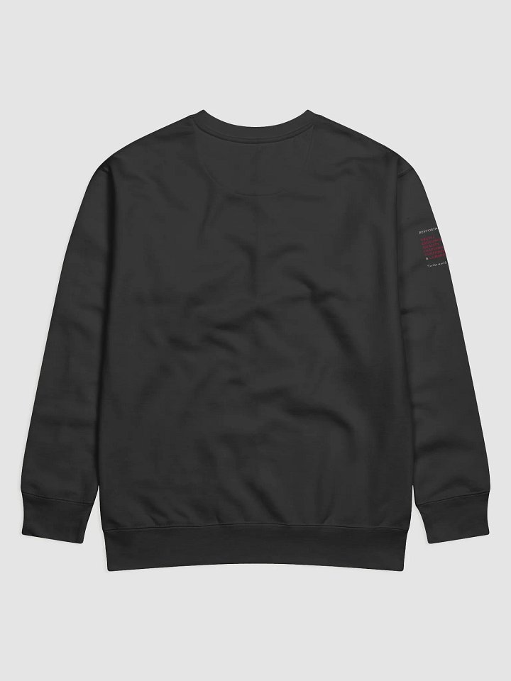 SWEATER OF POWER product image (2)
