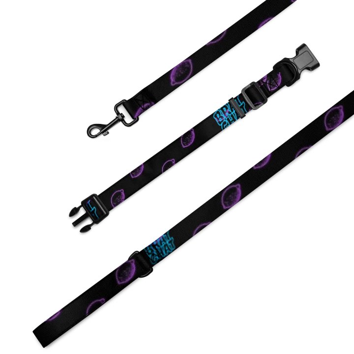Brat Chat Leash and Collar product image (2)